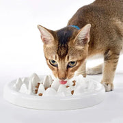 Ceramic slow eating bowl - MRSLM
