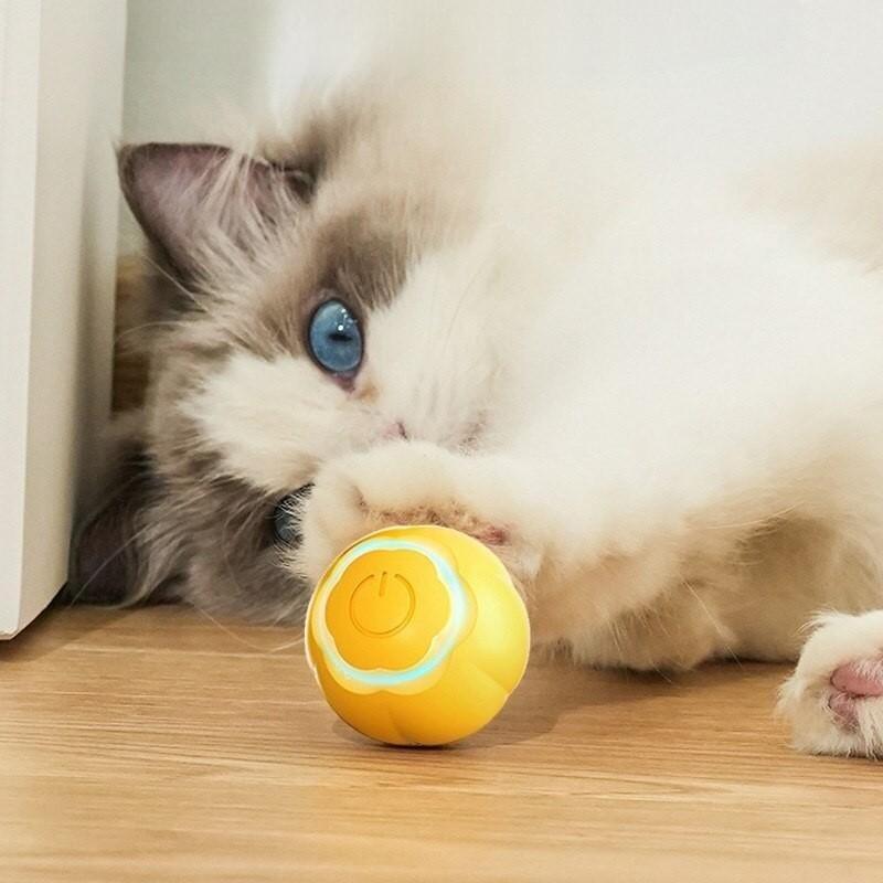 LED cat toy ball - MRSLM