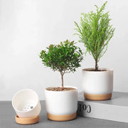 double-layer self-watering succulent plant pot, view 7 - MRSLM