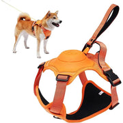 dog harness and retractable leash set - MRSLM