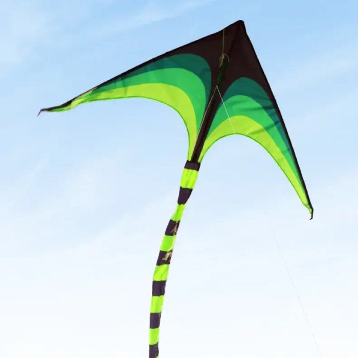 Large Delta Kite for Outdoor Sports