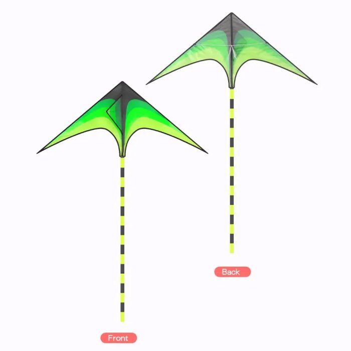 Large Delta Kite for Outdoor Sports