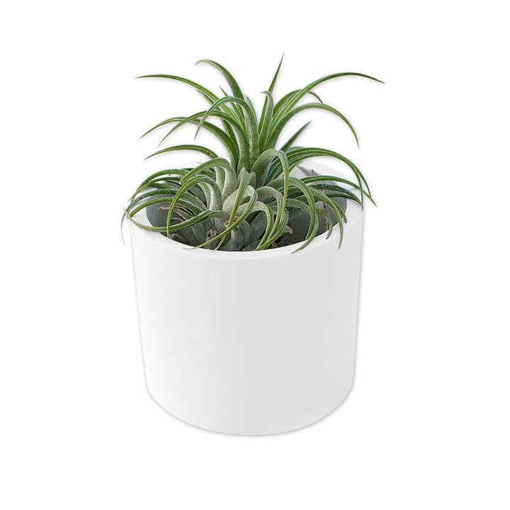 Round White Ceramic Planter - MRSLM