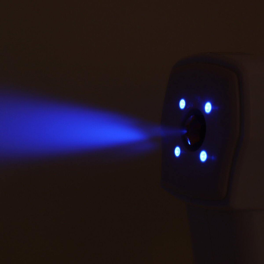 110V Blue/White Light Nano Portable Disinfection Spray Guns Household Disinfection Machine - MRSLM