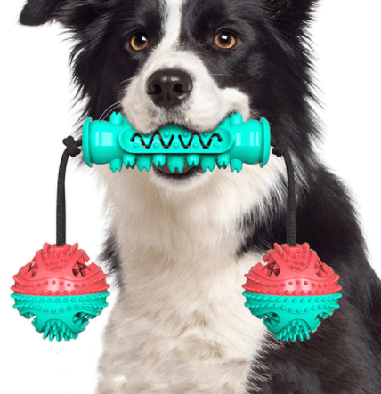 Dog Chew Toys Pet Toothbrush Rubber Bones Teeth Cleaning - MRSLM
