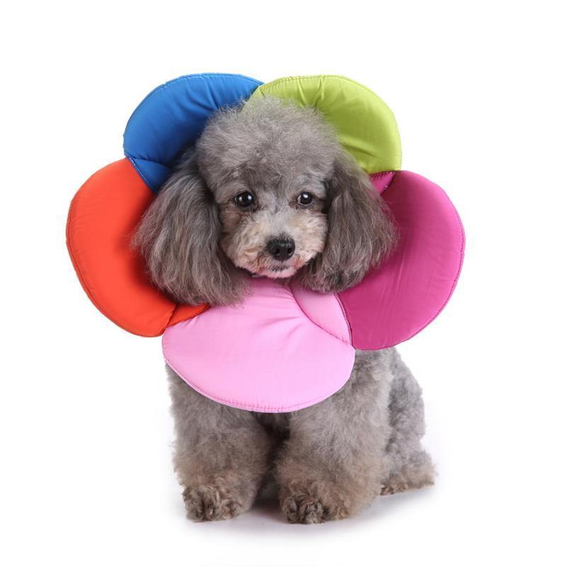 Pet Protection Collar Collar Flower Protection Collar Pet Grooming Kits Dog Bite Ring Birth Control - MRSLM