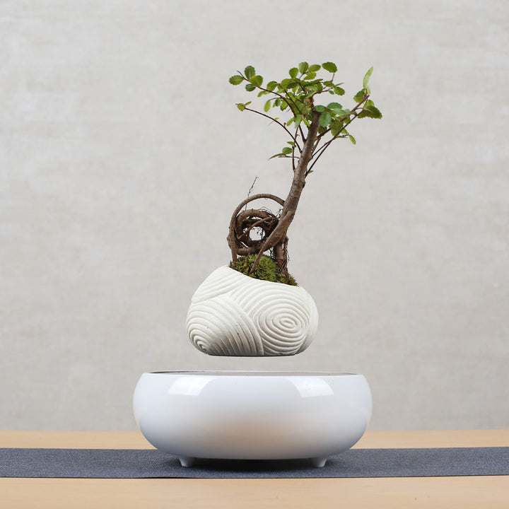 Magnetic Levitation Potted Plant Creative Gift Furniture Decoration