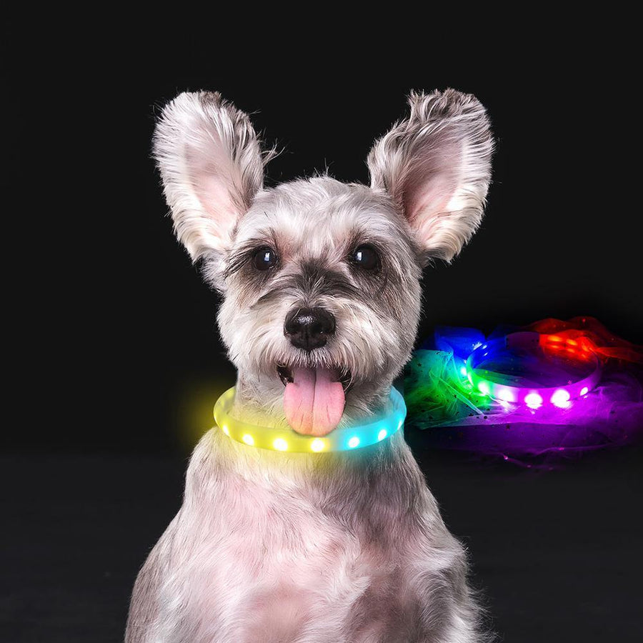 Flash Collar For Dogs USB Charging Anti-Lost Silicone Necklace Pet Products - MRSLM