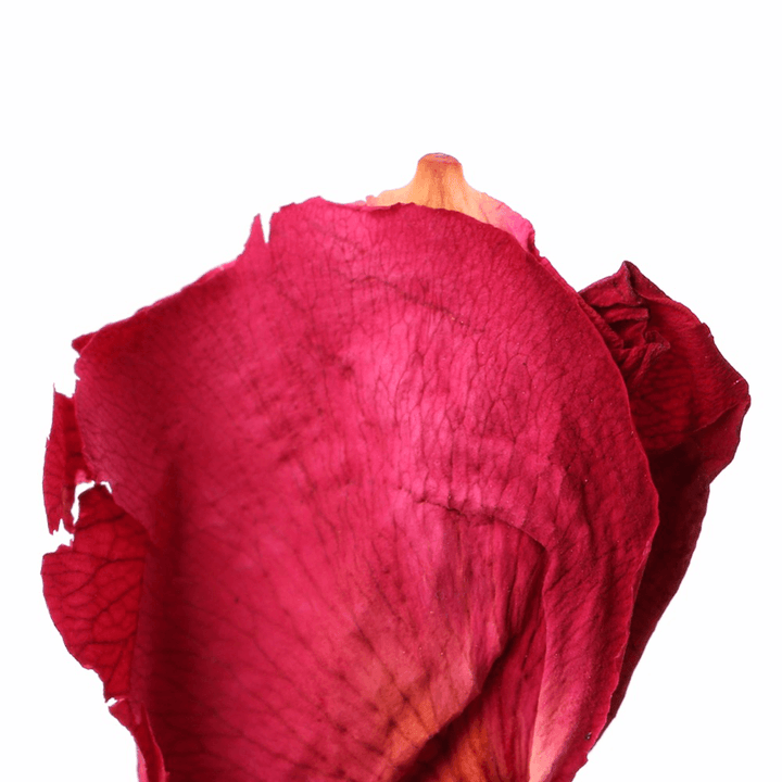 Dried Rose Petals Natural Flower Spa Whitening Shower Dry Rose Natural Flower Petal Bath Relieve Fragrant Body - MRSLM