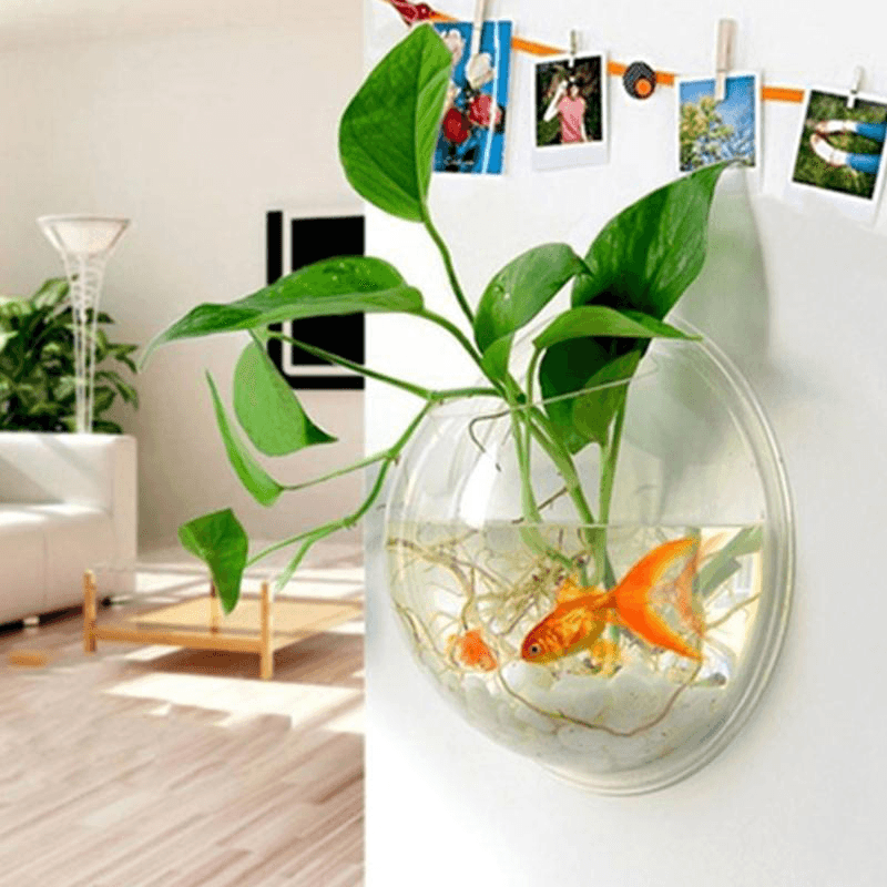 Creative Wall Hanging Transparent Glass Vase Fish Tank Hydroponic Living Room Home Decor - MRSLM
