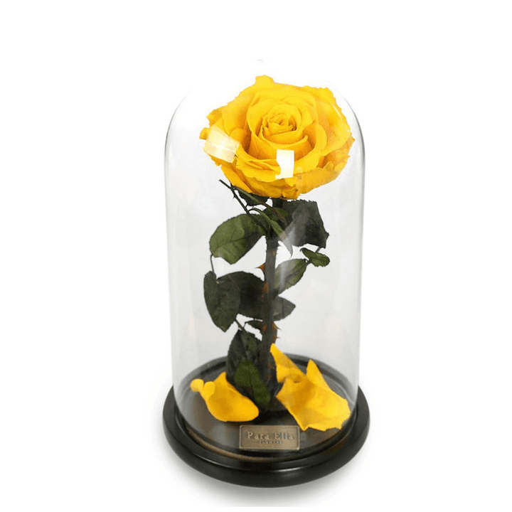 Para Ella Preserved Fresh Rose Flower with Fallen Petals in Glass Dome on a Wooden Base as Gift for Valentine'S Day, Anniversary, Birthday , Wedding - MRSLM