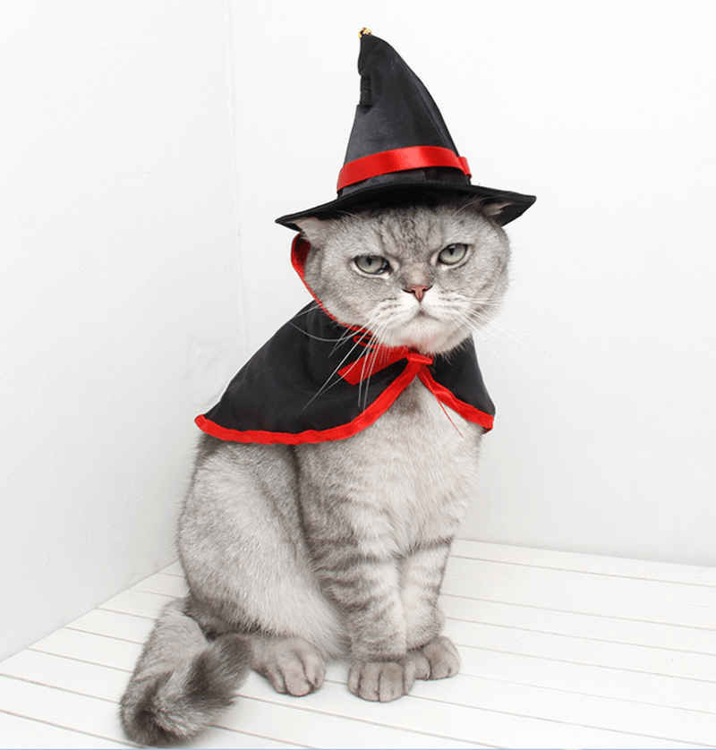 Halloween Costume Pet Cat Small Dog Vampire Hat Cape Cloak Halloween Cosplay Fancy Dress Costume for Pet Decor - MRSLM