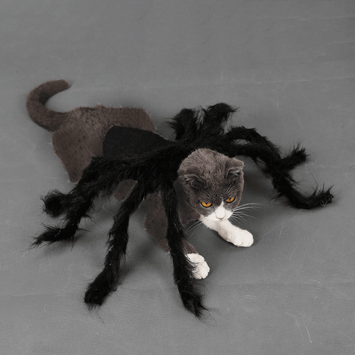 Pet Halloween Funny Spider Clothes Cat Dog Horror Simulation Plush Spider Clothes for Party Dress - MRSLM