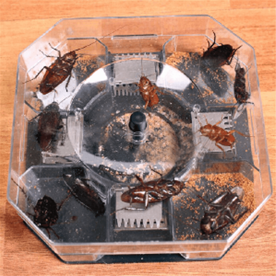 Large Cockroach Lizard Insect Trap Killer ECO Non Poison Reusable Catcher Box Snail Slug Trapper - MRSLM