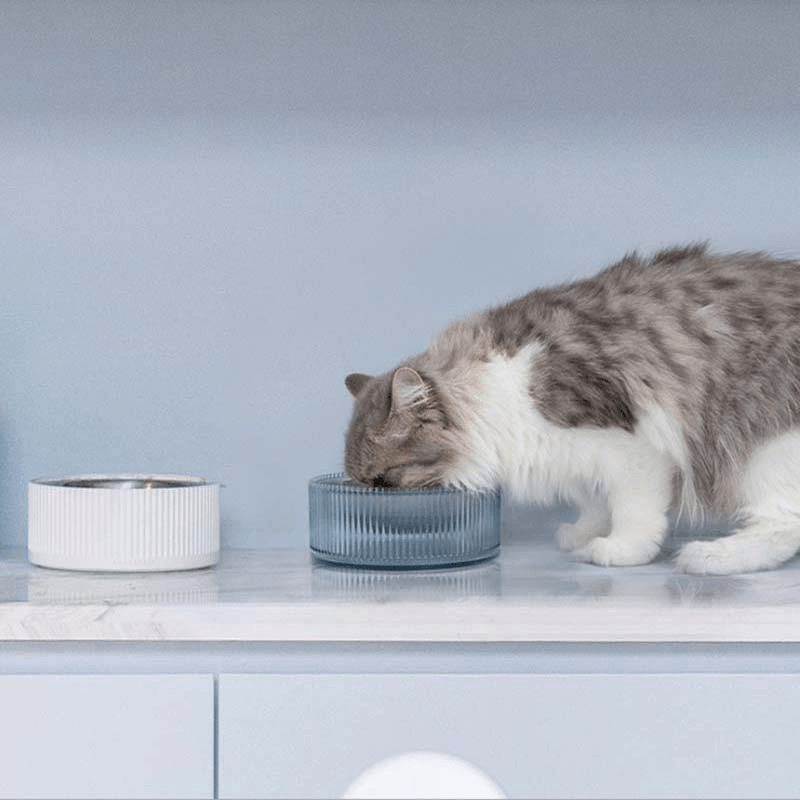 FURRYTAIL Food Grade Antibacterial Stainless Steel Cat Food Bowl Detachable Pet Bowl - MRSLM