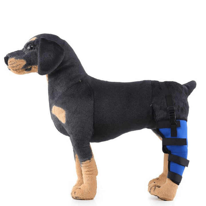 Pet Supplies Knee Pads Dog Leg Support Guard Assist Tool Protector Surgery Injury Protective Cover Reflective Clause Dog Hind Leg Guard - MRSLM