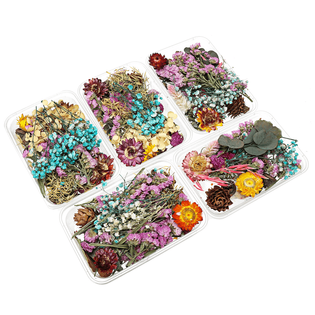 1 Box Real Dried Flower Plants Aromatherapy Candle Soap Flower Epoxy Resin Pendant Necklace Jewelry Making Craft DIY Accessories - MRSLM