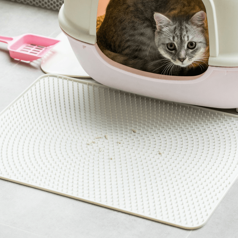 Jordan&Judy PE 0031 Pet Mat Cat Sand Mat Soft Silica Gel Mat Cat Pad Cat Toilet Control Panel Pet Supplies From - MRSLM