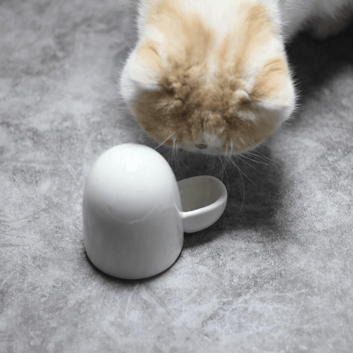 Ceramic Pet Water Dispenser Mute Dog Cat Drinking Fountain Feeding and Watering Machine Mini Hedgehog Kettle Dog Automatic Waterer - MRSLM