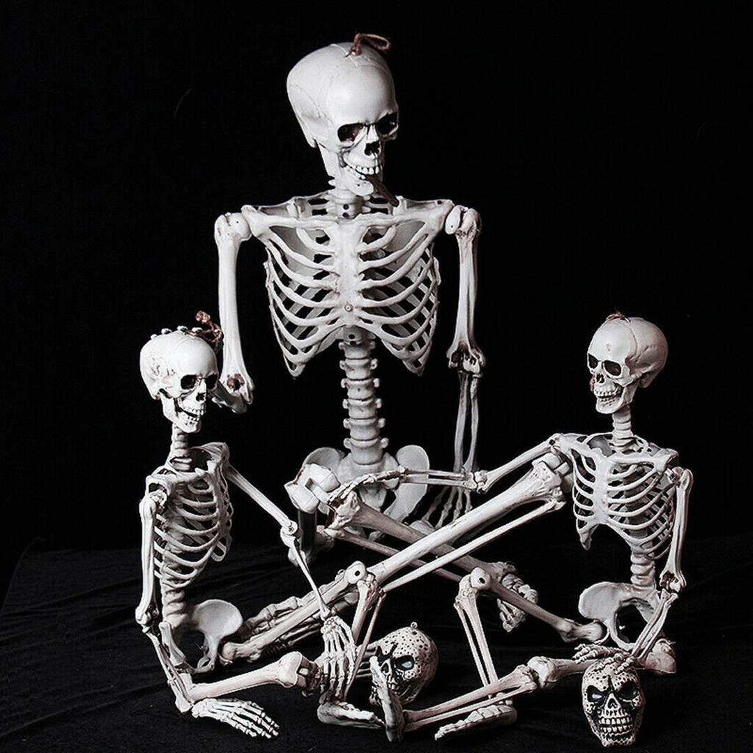90Cm Human Skeleton Scary Bones Poseable Hanging Halloween Prop Party Decorations - MRSLM