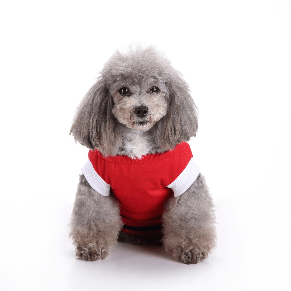 Pet Dog Vest Care Dog Surgery Clothes for Postoperative Nursing Care Physiological Vest - MRSLM