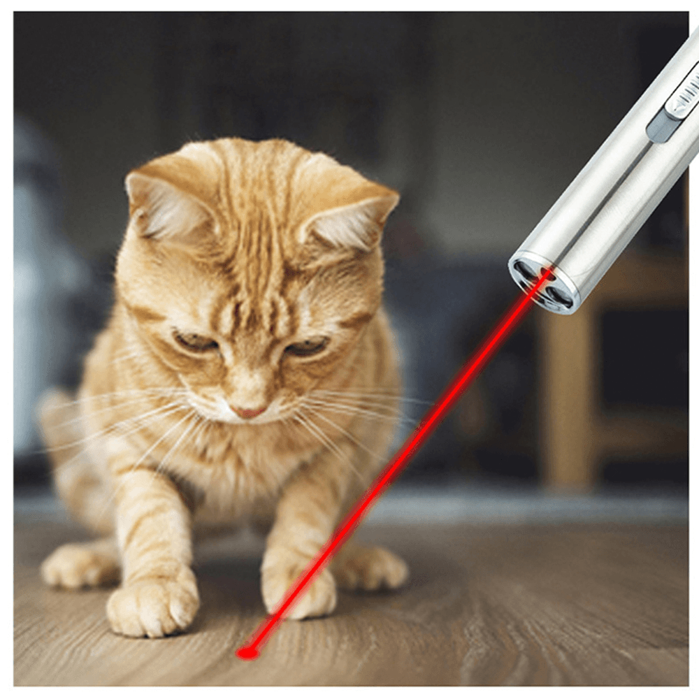 Pet Cat Toys 3In1 USB Rechargeable LED Flashlight Tease Cat Stick Check Pen Pet Toys Supplies - MRSLM