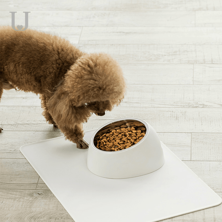 Jordan&Judy JJ-PE0022 Pet Tilt Stainless Steel Bowl Dog Food and Water Feeder with Base from Xioami - MRSLM