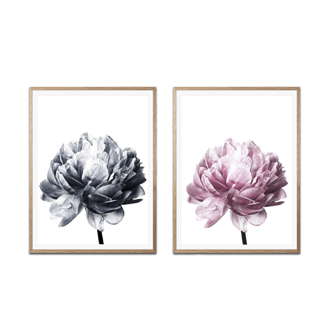 20X30/30X40Cm Flower Modern Wall Art Canvas Paintings Picture Home Decor Mural Poster with Frame - MRSLM
