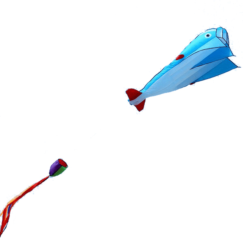 3D Huge Soft Parafoil Blue Dolphin Kite Outdoor Sport Entertainment Kite Frameless - MRSLM