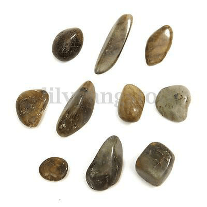 1/4 LB Natural Labradorite Mini Tumbled Gemstone Stone Crystals Healing Home Decorations - MRSLM