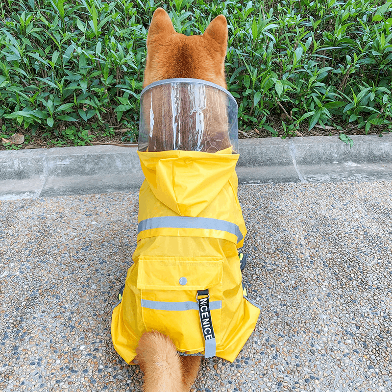 Pet Dog Raincoat Four Feet Waterproof Pets Articles Clothing Spring Suitable for Rainy Days From - MRSLM