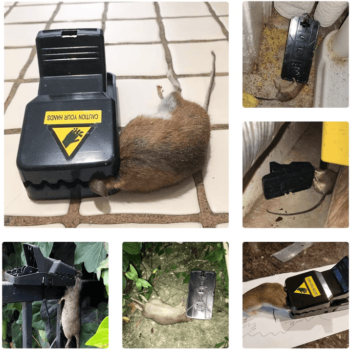 2/4/6 PCS Reusable Rat Catching Mouse Traps Bait Snap Spring Rodent Catcher Pest Controller - MRSLM