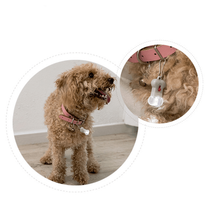 Jodan&Judy Bone Label Light Pet Tag Light Bulb Outdoor Dog Floodlight Missing Warning Light Pet Supplies From - MRSLM