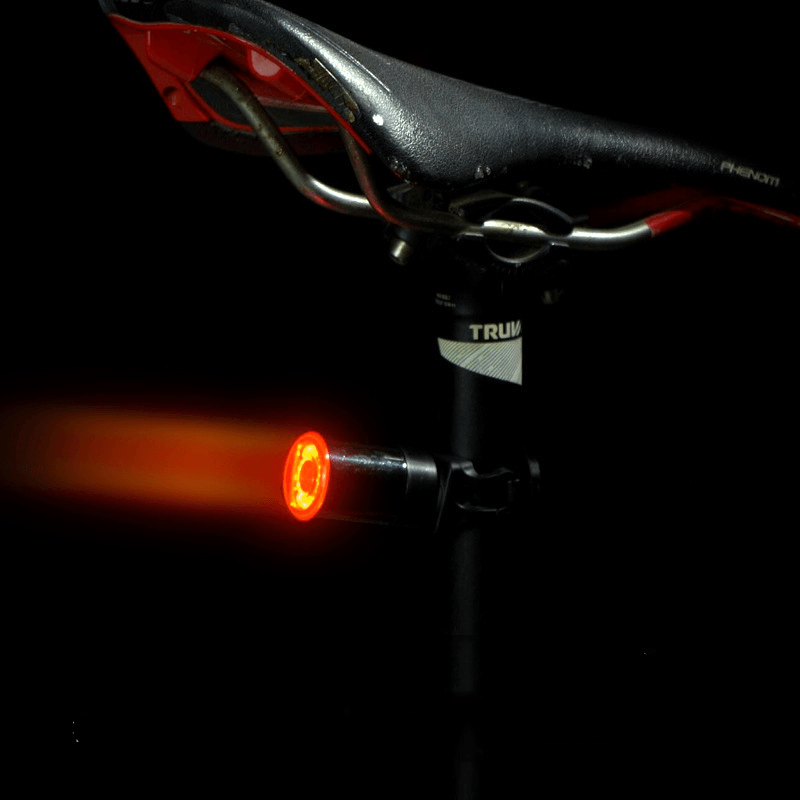 XANES® Bicycle Smart Brake Tail Lights Multiple Lighting Modes USB Charging LED Warning Lamp Flash Tail Rear Bike Lights - MRSLM