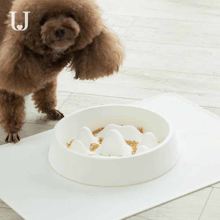 Jordan&Judy JJ-PE0017 Pet Feeding Bowl Stay Healthy Prevent Obesity PP Material Dog Supplier From - MRSLM