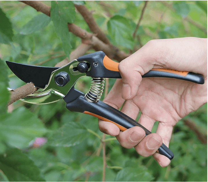 Garden Pruning Scissors Fruit Tree Pruning Shears Labor-Saving Flower Branch Manual Pruning Shears - MRSLM