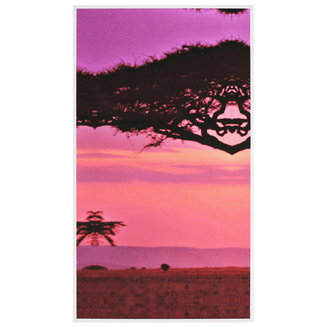 Large Sunset&Tree Canvas Print Wall Art Painting Picture NO Frame Home Decorations - MRSLM