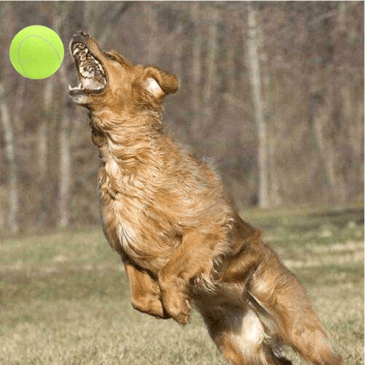 24Cm Big Giant Pet Dog Puppy Tennis Ball Thrower Chucker Launcher Pet Toys - MRSLM