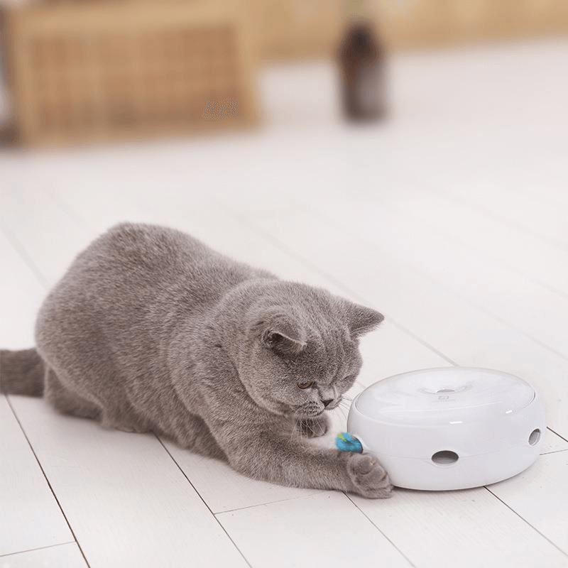 Homerun Smart Cat Toy Pet Toys Electric Cat Tease Stick Doughnut Turntable Automatic Turntable Cat Toy From - MRSLM