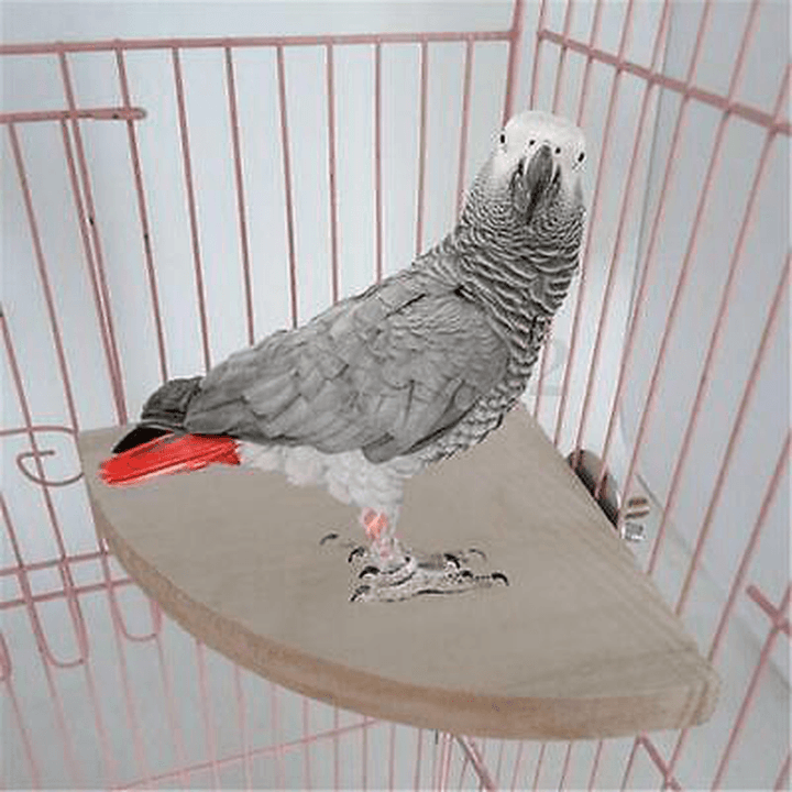 Wooden Coin Parrot Bird Cage Perches Stand Platform Pet Budgie Hanging Toy Pet Toys - MRSLM