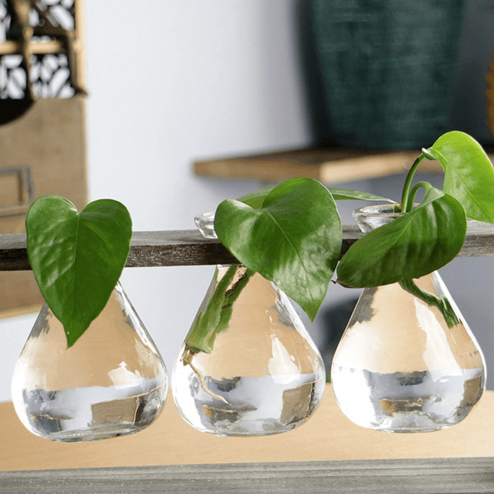 Wood and Glass Creative Hydroponic Living Room Decoration Flower Pot Plant Vase - MRSLM