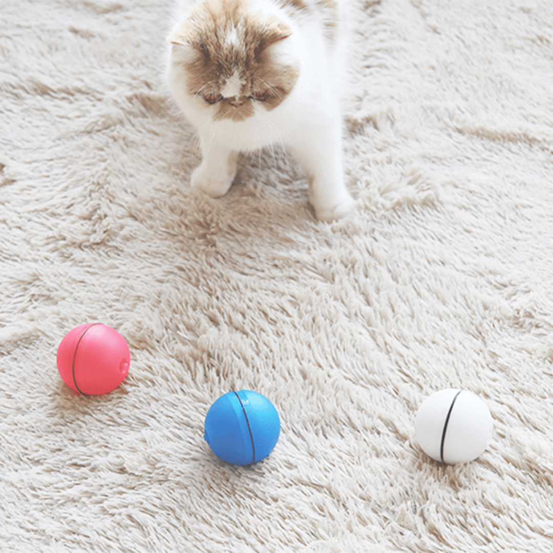 Electric Flash Light Rolling Ball Cats Catching Toy Scratch Ball Funny Cats Dogs Pet Playing Toy Pet Toys - MRSLM