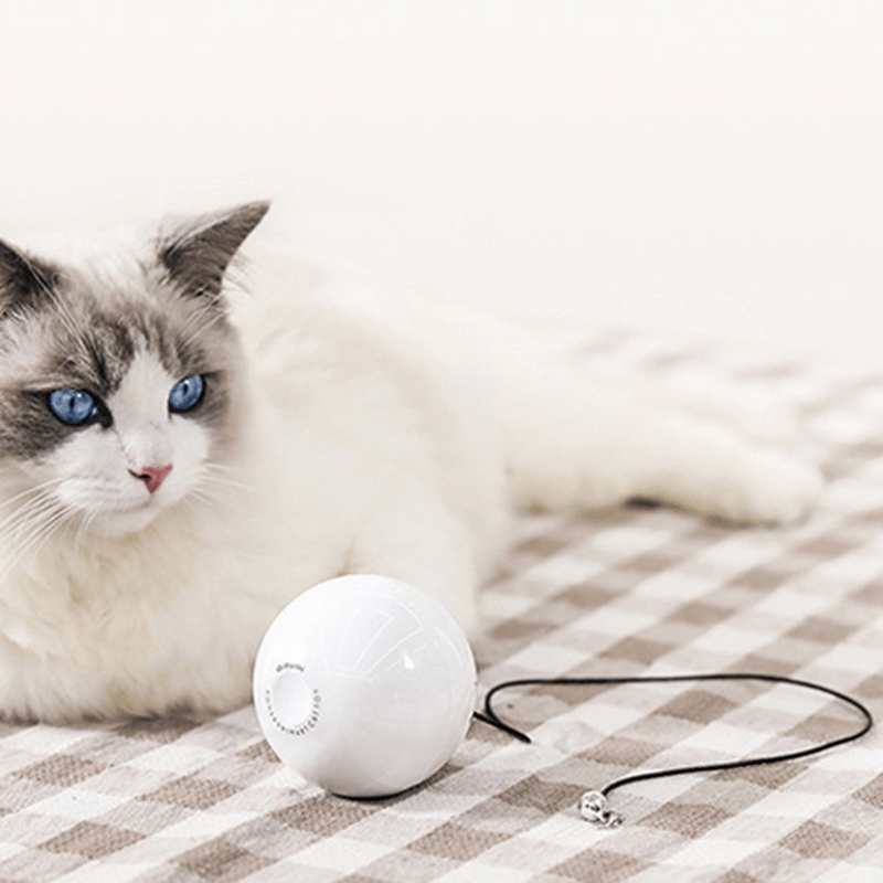 Homerun Smart Interactive Pet Toys Automatic 360 Degree Self Rotating Ball Toys with Bell Built-In Spinning Eye-Protection LED Cat Toy from Eco-System - MRSLM