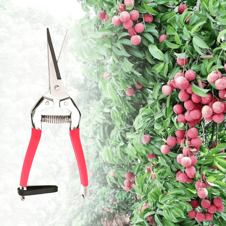 Garden Pruning Scissors Plant Cutter Flower Fruit Grape Scissors - MRSLM