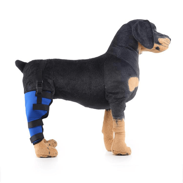 Pet Supplies Knee Pads Dog Leg Support Guard Assist Tool Protector Surgery Injury Protective Cover Reflective Clause Dog Hind Leg Guard - MRSLM