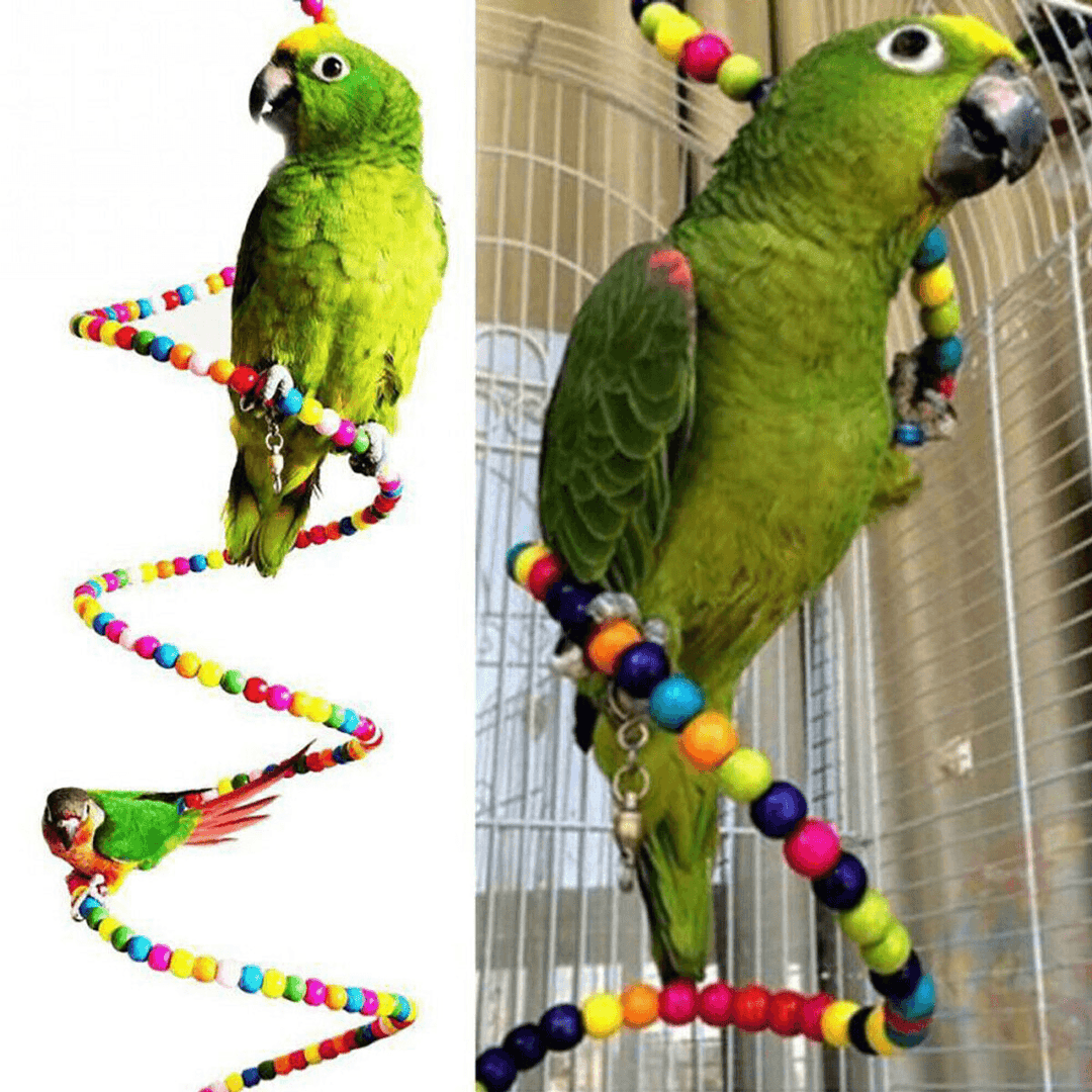 10 PCS Parrot Hanging Swing Bird Toy Harness Cage Ladder Parakeet Cockatiel Budgie Pet Supplies - MRSLM