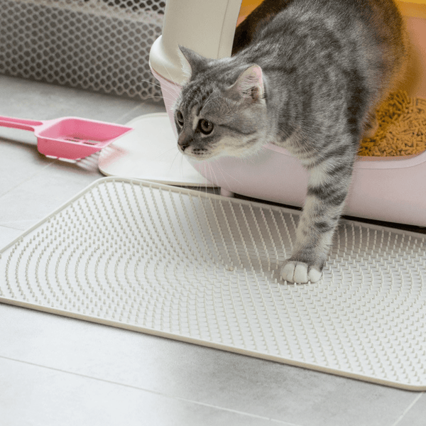Jordan&Judy PE 0031 Pet Mat Cat Sand Mat Soft Silica Gel Mat Cat Pad Cat Toilet Control Panel Pet Supplies From - MRSLM