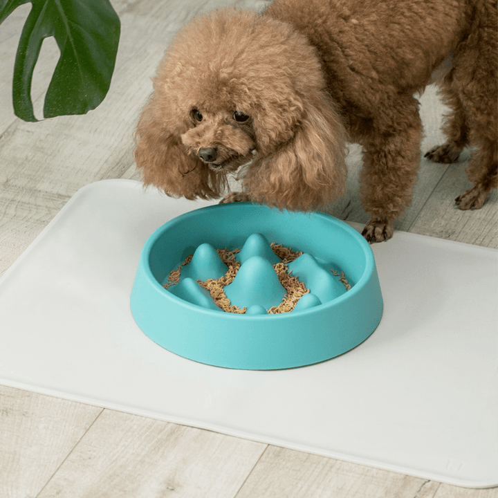 Jordan&Judy JJ-PE0017 Pet Feeding Bowl Stay Healthy Prevent Obesity PP Material Dog Supplier From - MRSLM