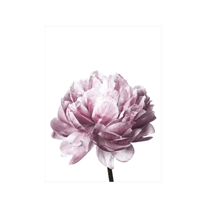 20X30/30X40Cm Flower Modern Wall Art Canvas Paintings Picture Home Decor Mural Poster with Frame - MRSLM
