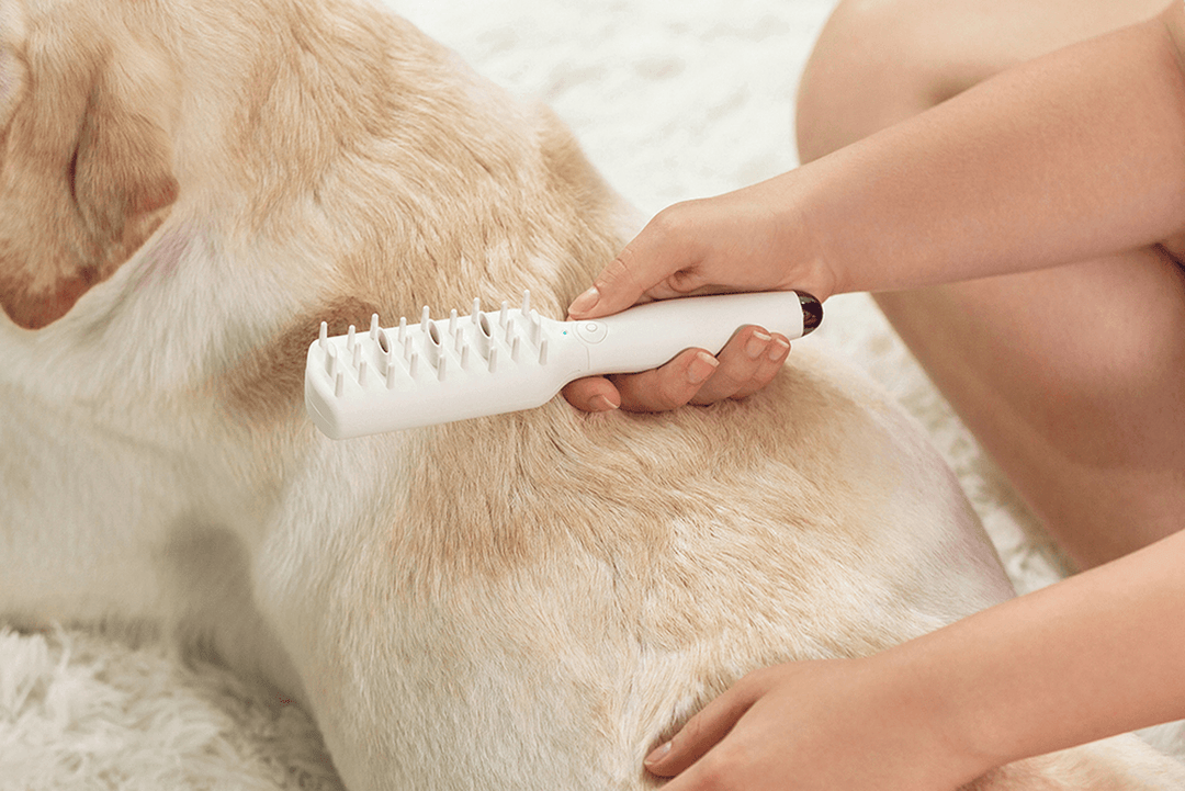 Pet Sterilization Massage Comb Smart Ozone Deodorization Care Dog Cat Health with TYPE-C Efficient Sterilization Removable Comb for Cleaning - MRSLM